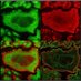 Faccio Lab (@facciolab) Twitter profile photo Faccio Lab (@facciolab) Twitter profile photo