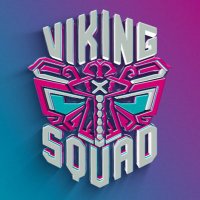 Viking Squad(@NFTVikingSquad) 's Twitter Profile Photo