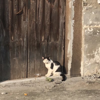 Non24fromsuzhou's profile picture. 