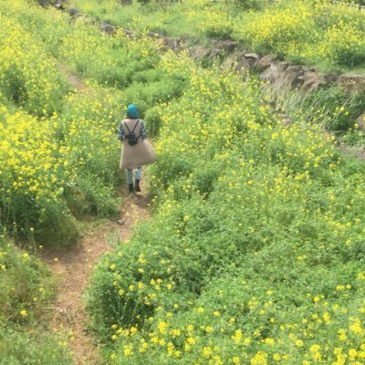 Naira_Althani's profile picture. ❗️PhD-ing🤏🧬. MSc Genomic Medicine. My interest: Genomics-Bioinformatics 👩🏻‍🔬👩🏻‍💻 AVAseqer - Oil paintings 👩🏻‍🎨~Nintendo ACNH🎮 20 Pokémon Unite 24