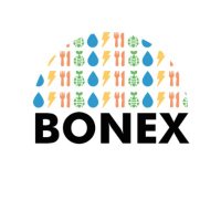 BONEX(@bonex_eu) 's Twitter Profile Photo