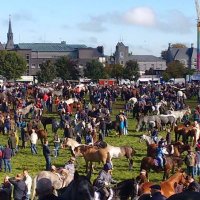 Ballinasloe Fair(@BallinasloeFair) 's Twitter Profile Photo