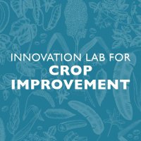 Innovation Lab for Crop Improvement(@CropImprovement) 's Twitter Profile Photo