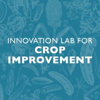 Innovation Lab for Crop Improvement (@cropimprovement) 's Twitter Profile Photo