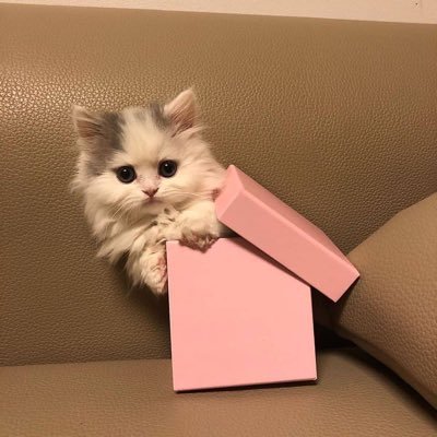 sun162482's profile picture. 