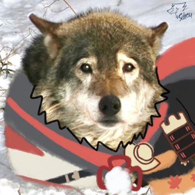 Seirou🐺さんのプロフィール画像
