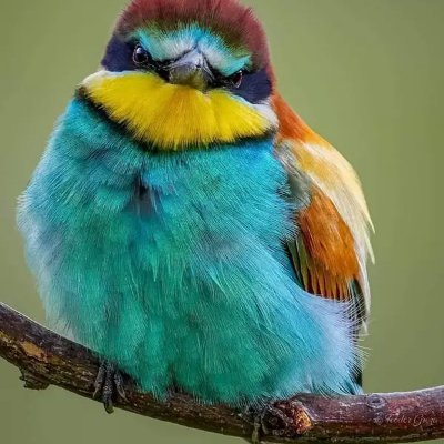 BurhanOm2's profile picture. Crypto traveller, sports lover, musician...