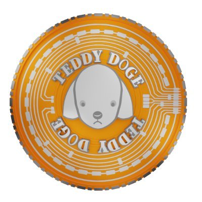 Teddy Doge V2 Profile