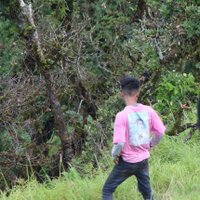 Allen HK (@lenkhohaohaokip) 's Twitter Profile
