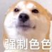 伪娘色色cdts (@tscd6) Twitter profile photo 伪娘色色cdts (@tscd6) Twitter profile photo