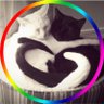 KaahCs_'s profile picture. A louca dos ship's.

♑️