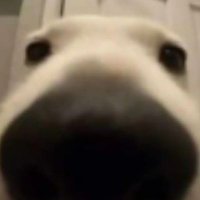 Gaymer (@strangerhot2) 's Twitter Profile