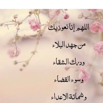 HasnaeLamrini's profile picture. 2403