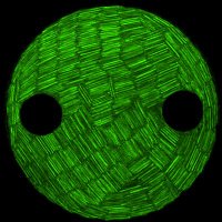 Aarts lab (@aartslabox) 's Twitter Profile Photo Aarts lab (@aartslabox) 's Twitter Profile Photo