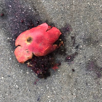 luisaluisawww's profile picture. arre