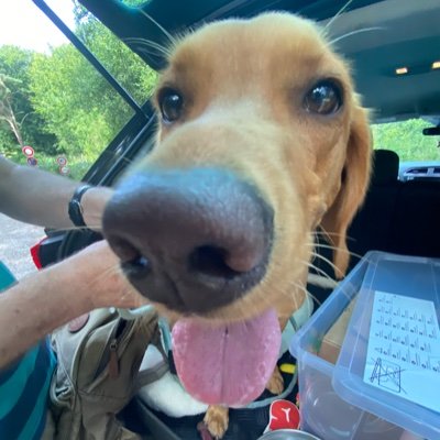 SeismicEarth's profile picture. 