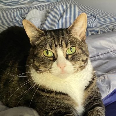 Pucker_Puss's profile picture. Don’t Tread on Me! Patriot 🇺🇸 2A, FJB/LGB , All praise to God 🙏. Thank You veterans, soldiers and those who stand for truth.