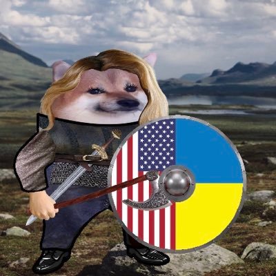 DVN fella 🇺🇦🇺🇸 Profile