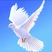 WAZOBIA. (@edward51750322) Twitter profile photo WAZOBIA. (@edward51750322) Twitter profile photo