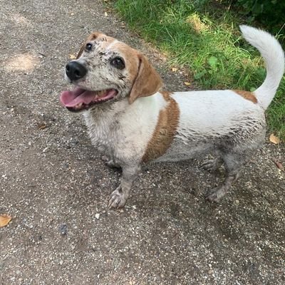 Wypy9's profile picture. let's get dirty , krities consument, vindt van alles wel wat , niet vaak serieus. pittig 🌶️