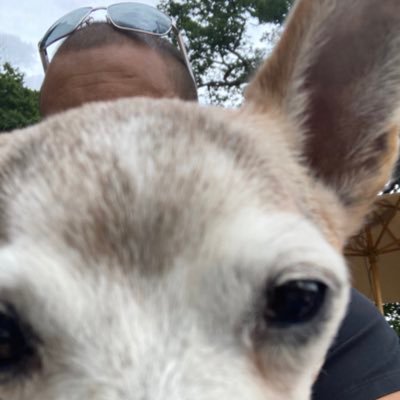 tazhay1114's profile picture. Ex Rugby Player now referee.