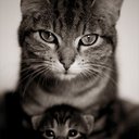 maria nada mas - @marianadamas1 - Twitter