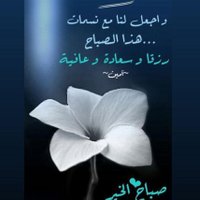 Alaa Al Arnosy (@al_arnosy) 's Twitter Profile