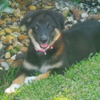 Sandy Couco (@sandycouco) 's Twitter Profile