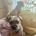 Tracey Murray (@traceyjpenman) Twitter profile photo Tracey Murray (@traceyjpenman) Twitter profile photo