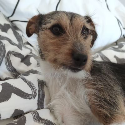 nathankiller94's profile picture. 