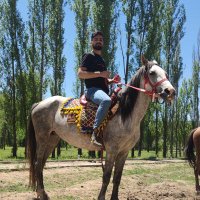 Vahap Mrcmk (@vahapm3) 's Twitter Profile