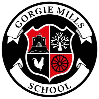 GorgieMillsHS Profile Picture