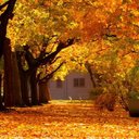 Jason Nottingham - @JasonNottingh17 - Twitter