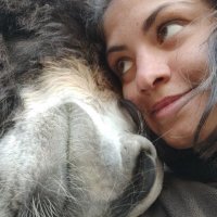 Claralynn Schubert (@claraschubwild) 's Twitter Profile