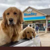 BlueSky (@blueskyoxford) 's Twitter Profile Photo BlueSky (@blueskyoxford) 's Twitter Profile Photo