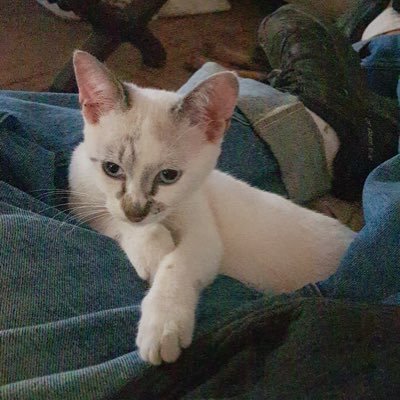 neumark_michel's profile picture. 