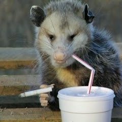 minteada's profile picture. Turbia, peluda y ladrona.