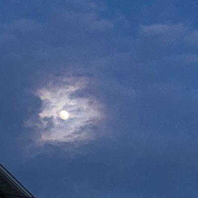 kstar579's profile picture. 18+ instagram dtnl_i