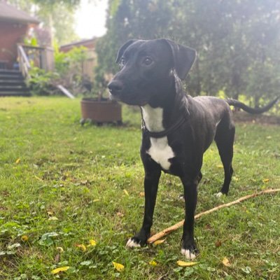 LeanneNPS's profile picture. 