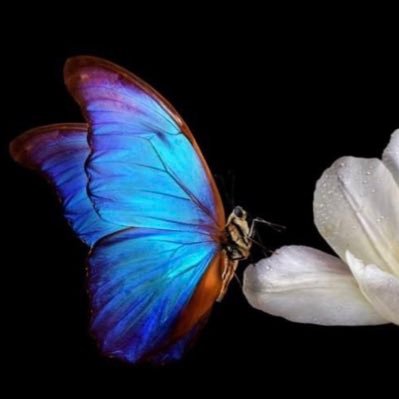Learning To Fly🦋 Taking Each Day As It Come’s 👌🏻trust the process ✌🏻