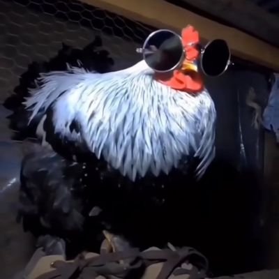 arkydarc's profile picture. 