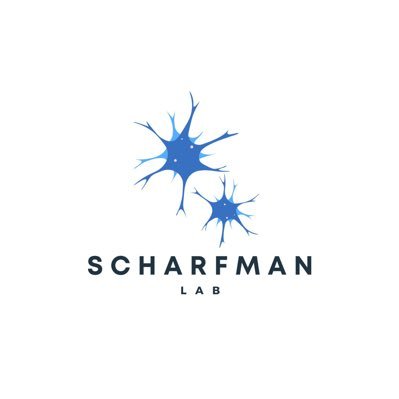 Scharfmanlab