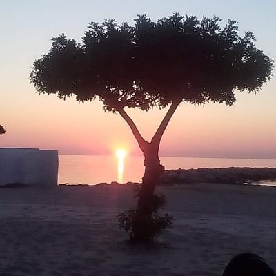 ymnmd64938666's profile picture. 