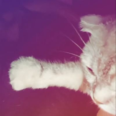 LieGzzzwg6L1Zgv's profile picture. 