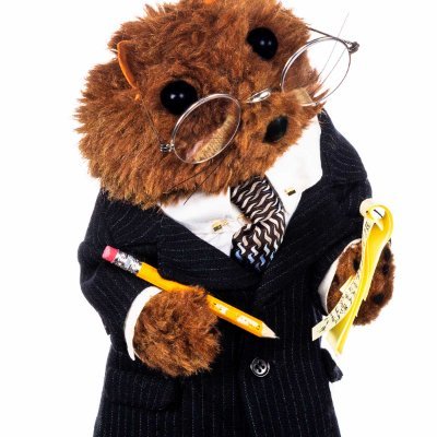 LCollrin's profile picture. Opinionated Feminist