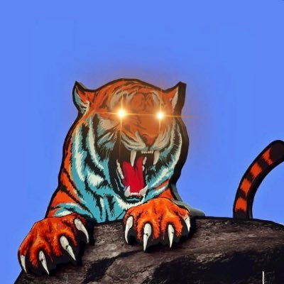 CalmWhiskers's profile picture. SC➡️GA➡️TN. Dad. Patriot 🇺🇸 The Fun Is In The Winning! 🐅 2 Timothy 1 : 7