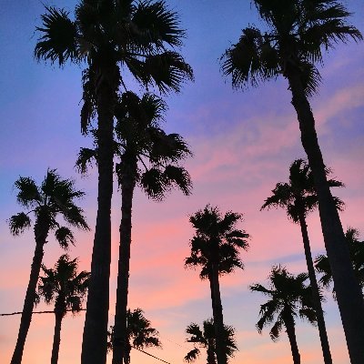 web202202's profile picture. 2022年2月〜
在宅で副業目指して #テックアカデミー #はじめての副業コース でプログラミング勉強スタートしました！→5月に卒業。現在コーディング勉強中です💻