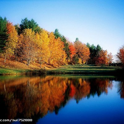 GuyWood55703880's profile picture. oauxna