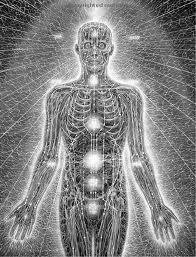 WojosGreenway's profile picture. together we can change the world as it is seen, underneath we are all connected let's start showing it.