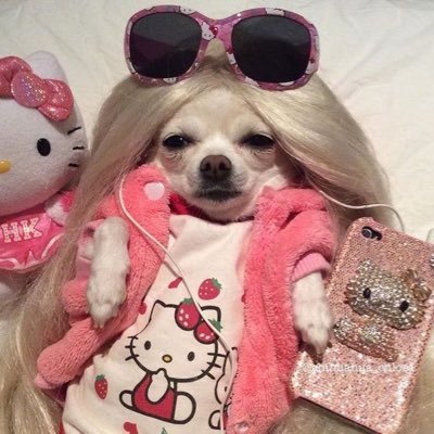 bragamirelala's profile picture. type of modern diary i guess